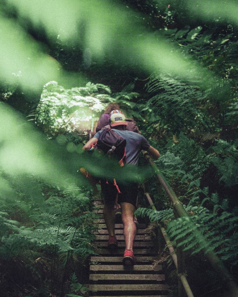 Giant Stairway Walk - Blue Mountains