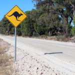 permis-conduire-australie