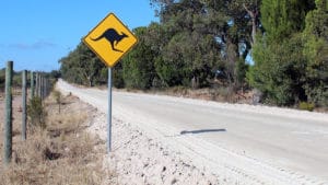 permis conduire australie