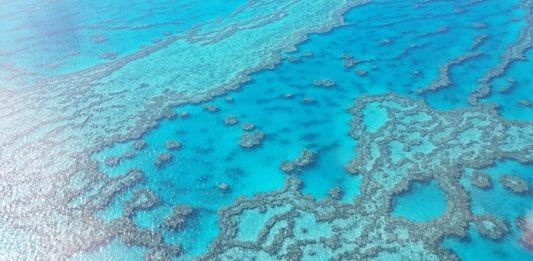 Faire un vol au-dessus de la Grande Barrière de Corail : Infos et retour d’expérience