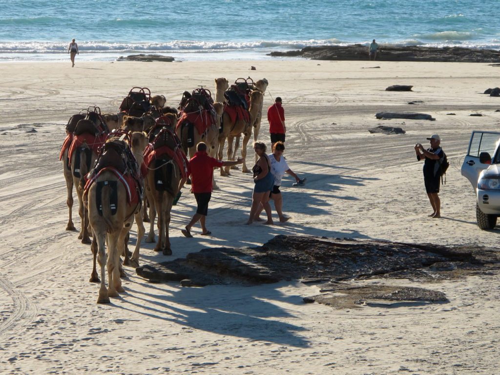 Camel ride with people on Cable Beach in Broome Australia.