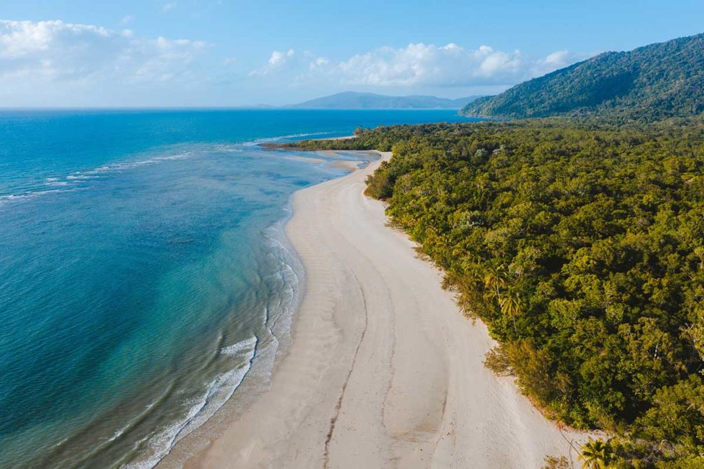 Cape Tribulation