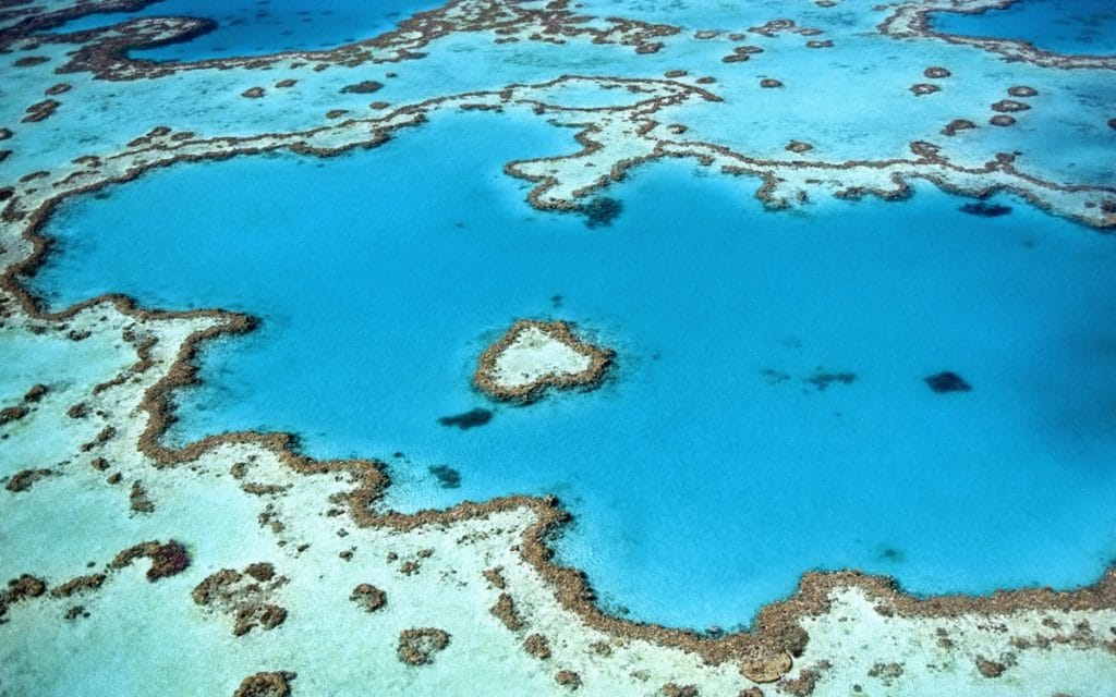 Plonger sur la grande barrière de corail 