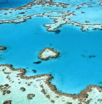 Heart Reef - Grande Barrière de Corail - Australie