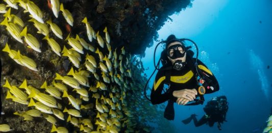 Passer son diplôme de plongée en Australie Passer son diplôme de plongée en Australie
