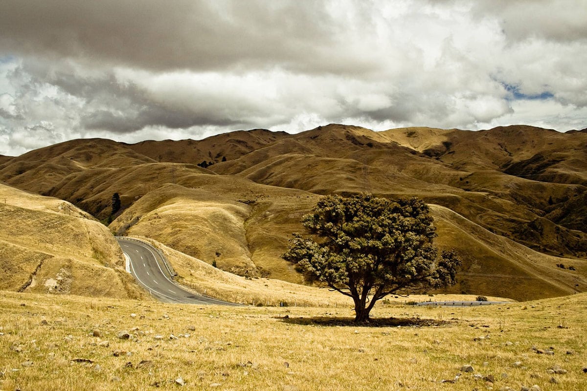 Fahrzeug mieten Neuseeland