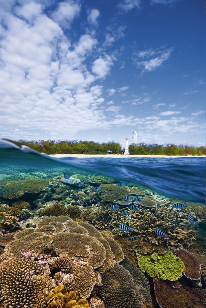Bundaberg - Road trip East coast Australia