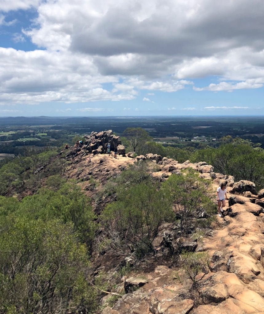 sydney to cairns drive glass house mountains
