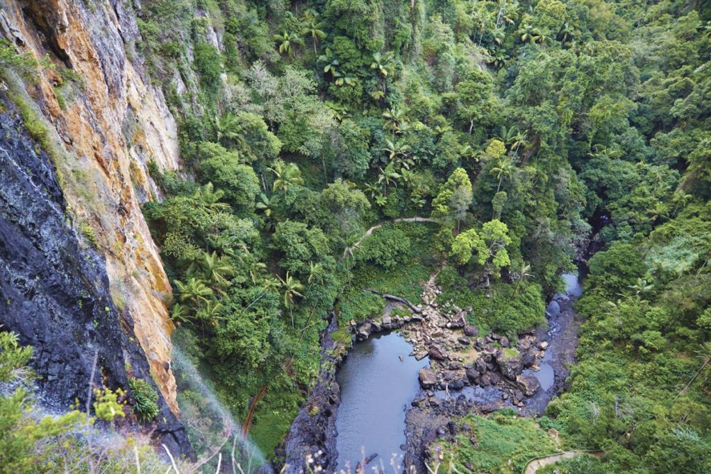 Springbrook National Park