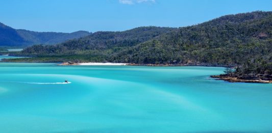 Les meilleures excursions sur les Whitsunday Islands – Comparatif 2026 Meilleures excursions aux Whitsunday Islands