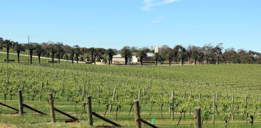 Visiter Barossa Valley - Adélaïde - Australie