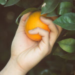 carte-fruit-picking