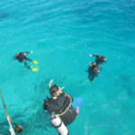 excursion-grande-barriere-corail-plongee
