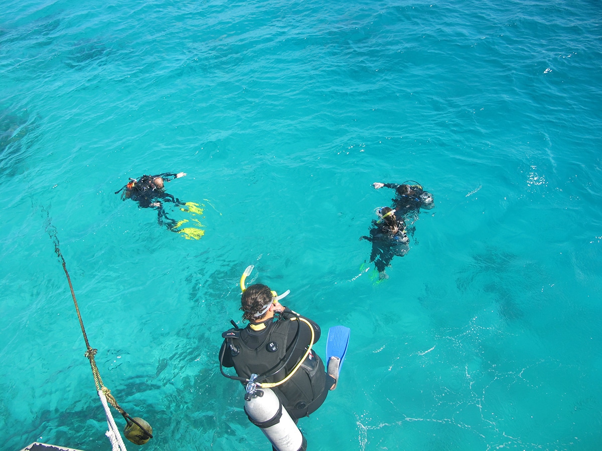 Grande barrière de corail excursions plongée australie