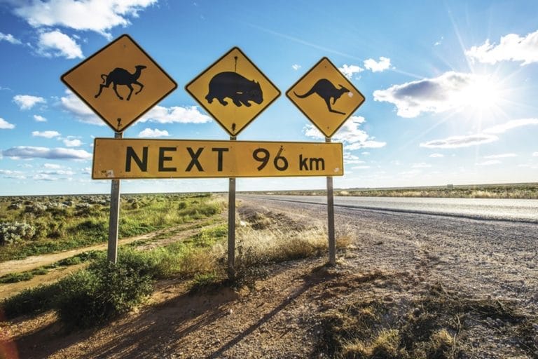Les itinéraires de road trip en Australie