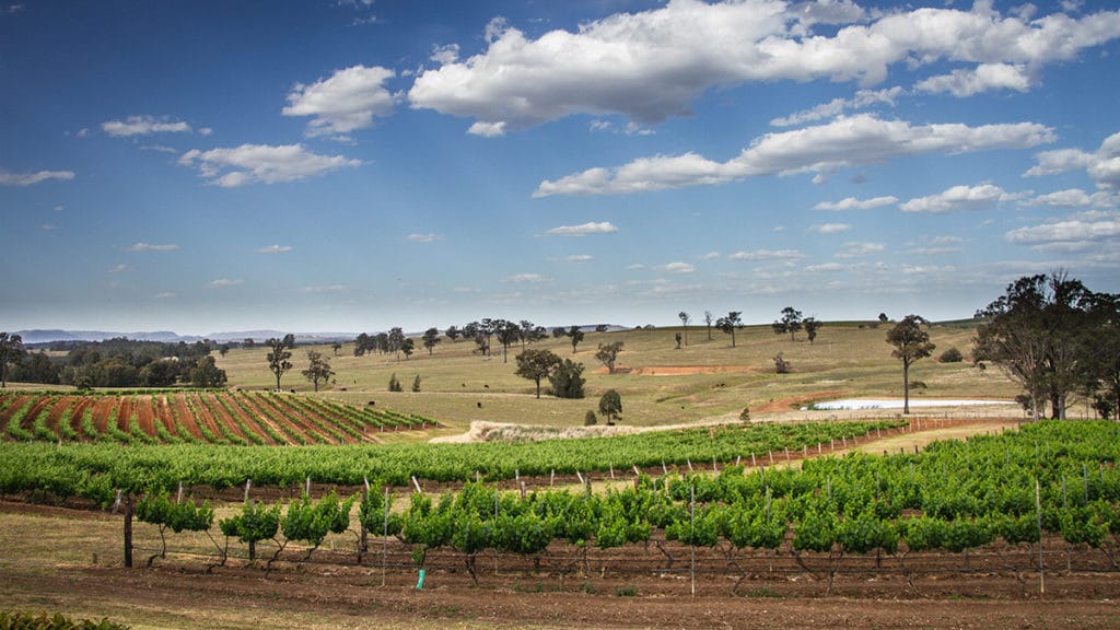 Vignoble australie Hunter Valley