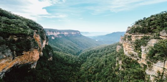 Les Blue Mountains : Guide complet Blue Mountains - New South Wales - Guide complet