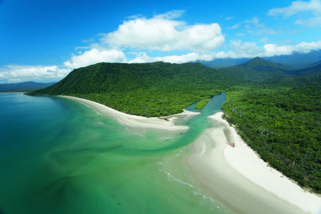 Daintree forest & cape tribulation  in Australien