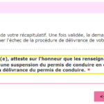 demande-permis-international-etape-7-recapitulatif-validation