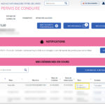 demande-permis-international-suivi-demarches-1