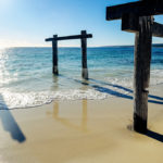 hamelin-shark-bay