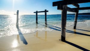 shark bay