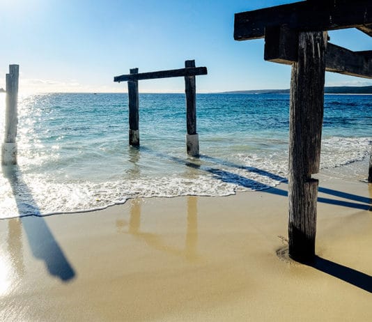 shark bay