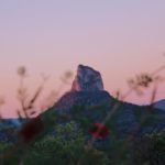 jade-stephens-edB0ZrE4F8Q-unsplash-1024×769-1
