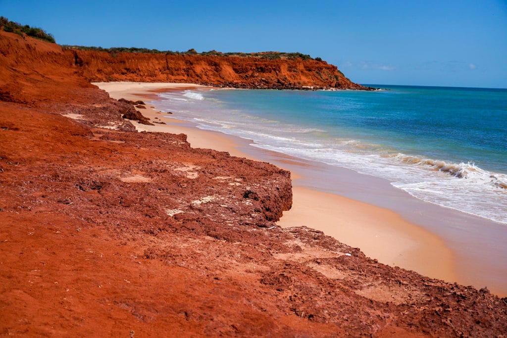 shark bay