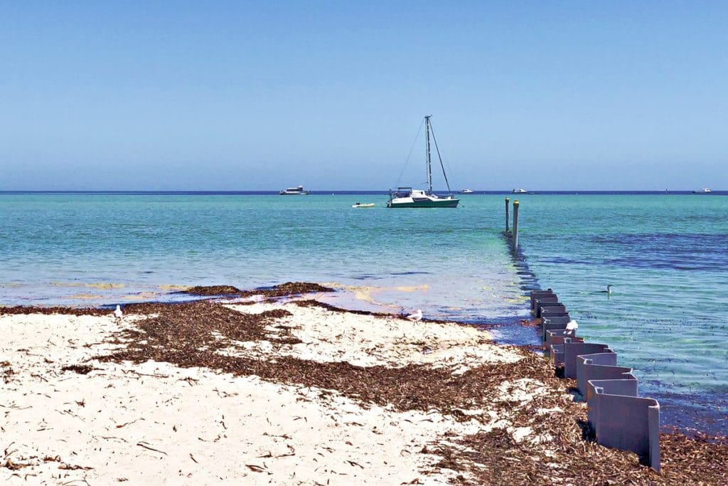 Shark Bay - Côte Ouest Australie