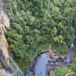 springbrook-national-park-road-trip-cote-est-1024×683-1