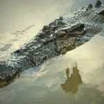 Crocodile-australie-2