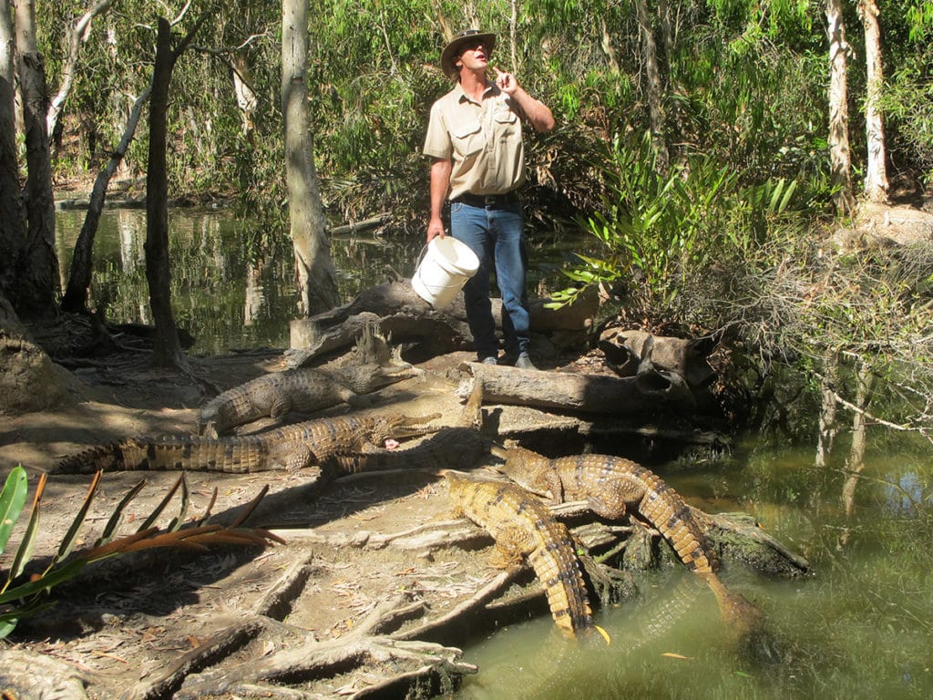 Hartley Crocodile Adventure Queensland Australia