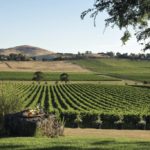 Yarra-valley-vignobles-1024×683-1