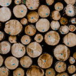 emplois-eligibles-renouvellement-visa-arbres