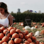 emplois-eligibles-second-whv-travail-agricole