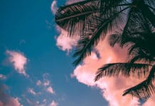 Les saisons et le climat en Australie