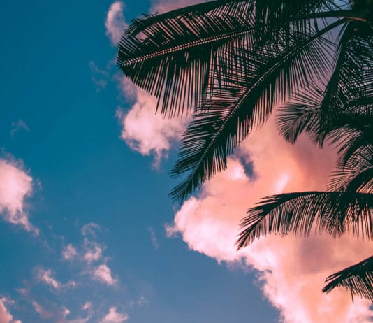 Les saisons et le climat en Australie