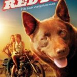 Red-Dog-1