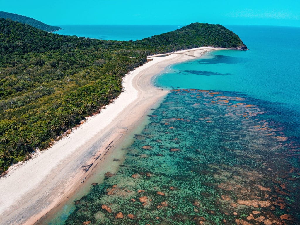 daintree queensland parcs nationaux