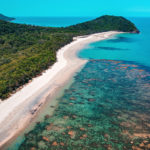 daintree-rainforest-cape-tribulation-meilleurs-parcs-nationaux