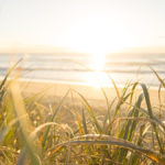 meilleurs-spots-sunshine-coast