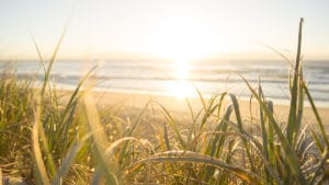 sunshine coast