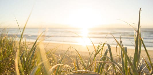 Les meilleurs lieux à visiter sur la Sunshine Coast sunshine coast