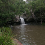 meilleurs-spots-sunshine-coast-kondallila-falls-montville-1