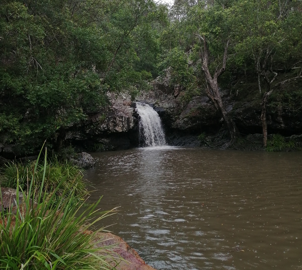 Sunshine Coast Queensland Buderim forêt et cascades