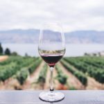 visiter-la-yarra-valley-australie