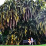 Adelaide-Botanic-garden