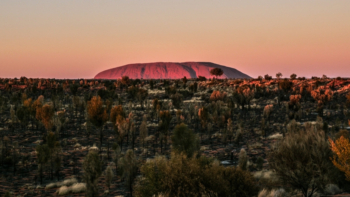 Road Trip Uluru Red centre