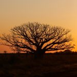 kimberley WA australie